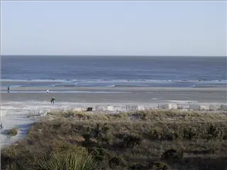 small_172-7211_IMG (2).webp